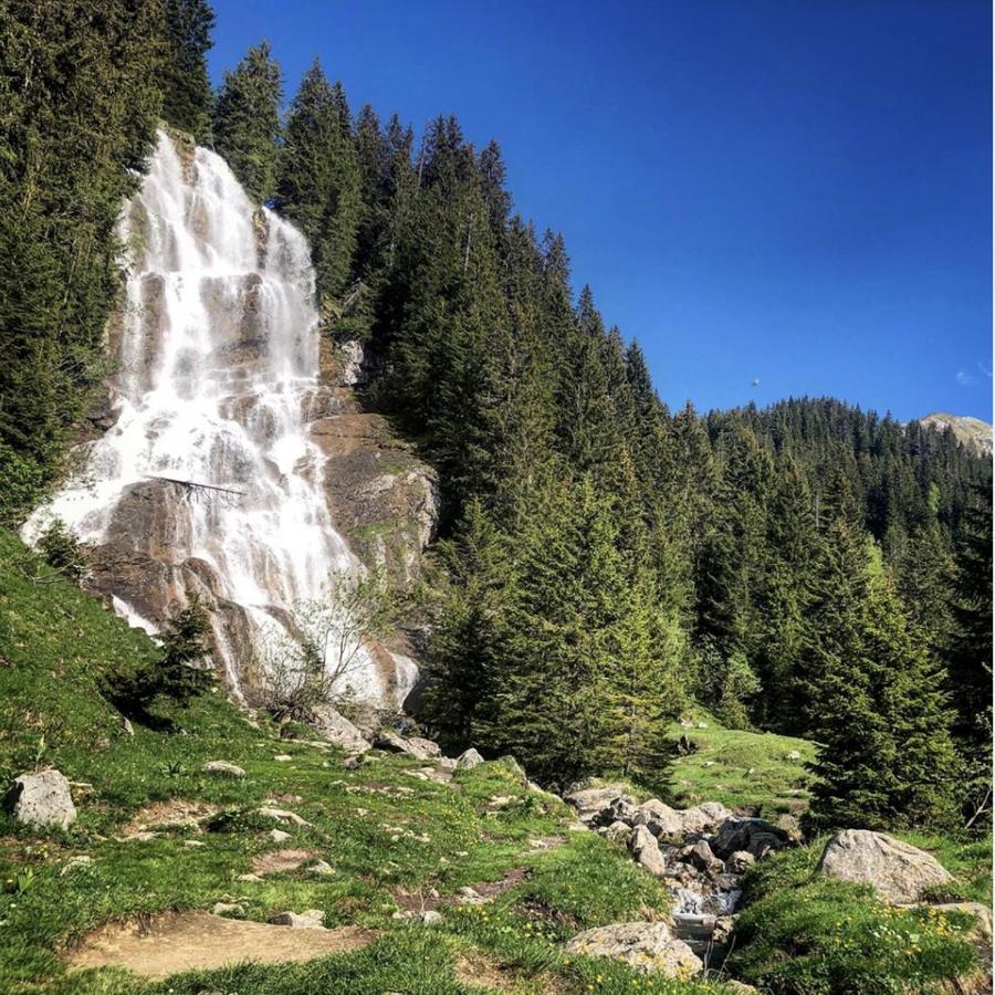 Micro-Lodge, Le Petit Nid D'Amour Montriond Dış mekan fotoğraf
