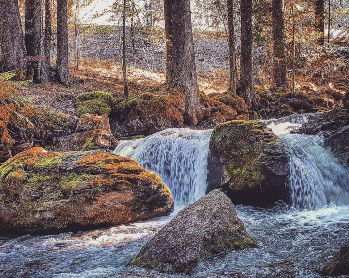 Micro-Lodge, Le Petit Nid D'Amour Montriond Dış mekan fotoğraf