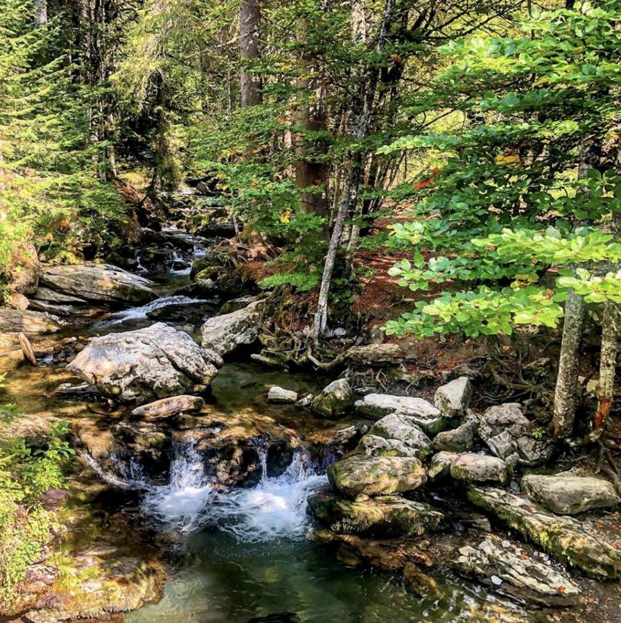 Micro-Lodge, Le Petit Nid D'Amour Montriond Dış mekan fotoğraf