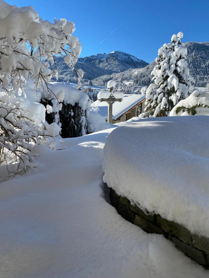 Micro-Lodge, Le Petit Nid D'Amour Montriond Dış mekan fotoğraf