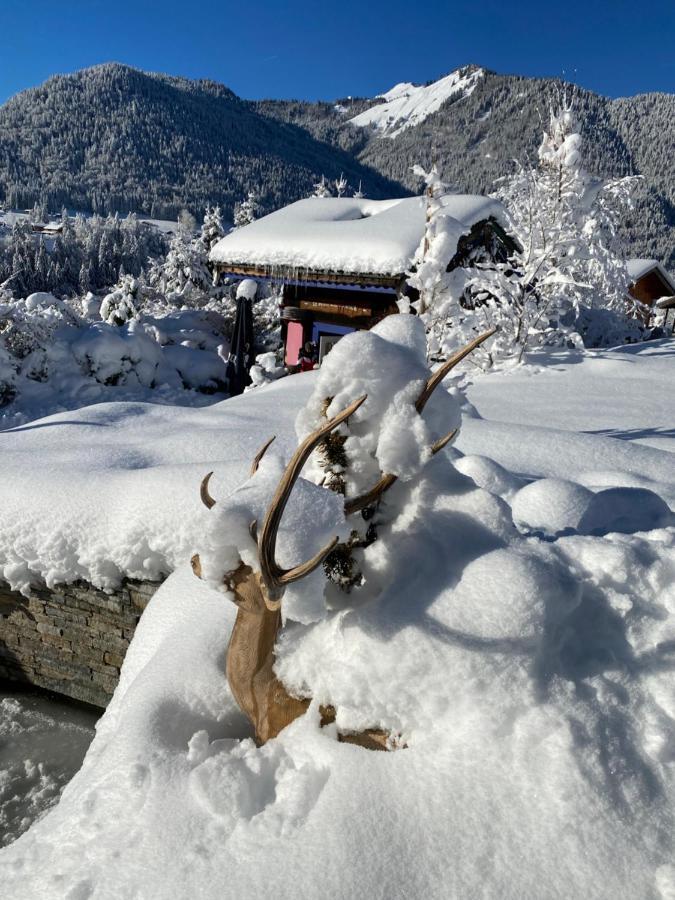 Micro-Lodge, Le Petit Nid D'Amour Montriond Dış mekan fotoğraf