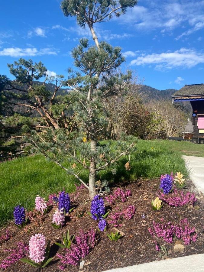 Micro-Lodge, Le Petit Nid D'Amour Montriond Dış mekan fotoğraf