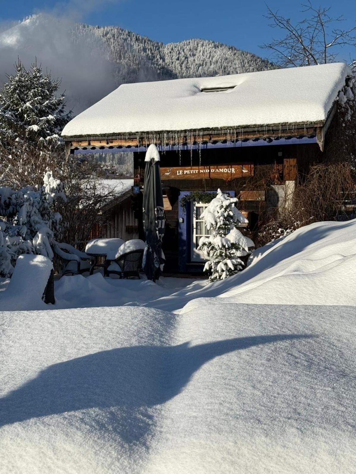 Micro-Lodge, Le Petit Nid D'Amour Montriond Dış mekan fotoğraf