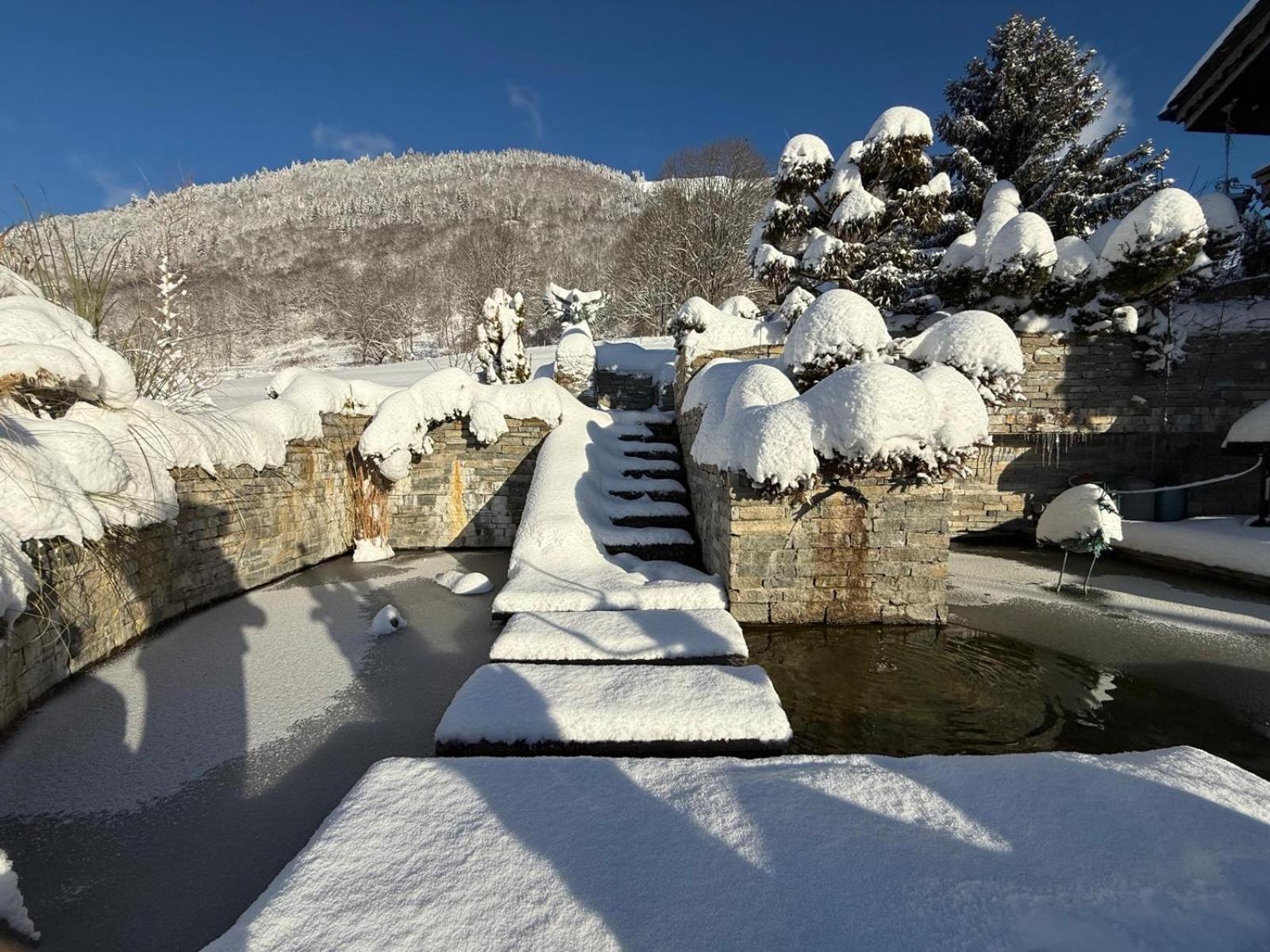Micro-Lodge, Le Petit Nid D'Amour Montriond Dış mekan fotoğraf