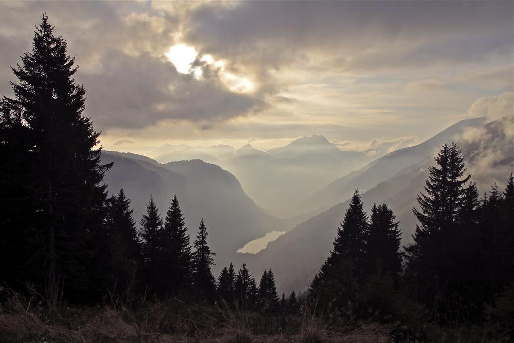 Micro-Lodge, Le Petit Nid D'Amour Montriond Oda fotoğraf