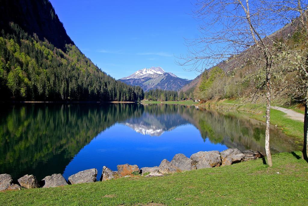 Micro-Lodge, Le Petit Nid D'Amour Montriond Dış mekan fotoğraf