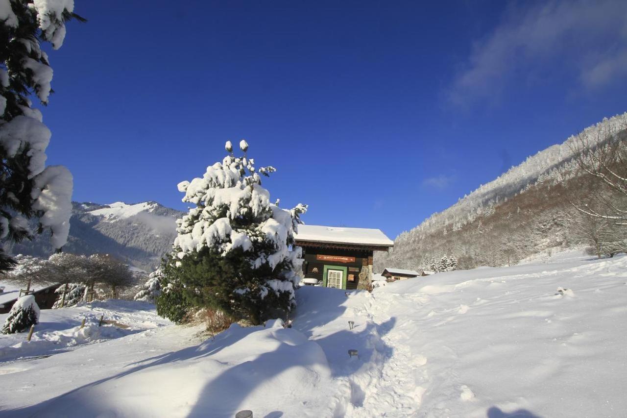 Micro-Lodge, Le Petit Nid D'Amour Montriond Dış mekan fotoğraf